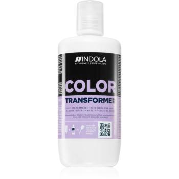 Indola Color skoncentrowany dodatek do włosów farbowanych 750 ml