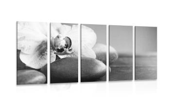5-częściowy obraz orchidea i kamienie w wersji czarno-białej - 100x50