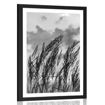 Plakat z passe-partout trawa w czarno-białym kolorze - 20x30 silver