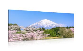 Obraz góra Fuji - 100x50