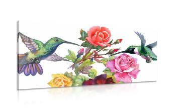 Obraz kolibry z kwiatami - 100x50