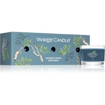 Yankee Candle Bayside Cedar zestaw upominkowy