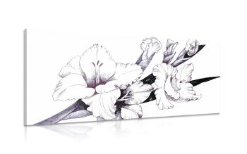 Obraz ilustracja kwitnącego mieczyka - 100x50