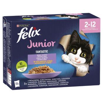 FELIX FANTASTIC Junior Mix smaków w galaretce dla kociąt 72x85g