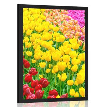 Plakat ogród pełen tulipanów - 60x90 black