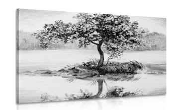 Obraz wiśnia orientalna w wersji czarno-białej - 90x60