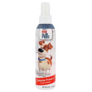Universal The Secret Life Of Pets 200 ml spray do ciała dla dzieci
