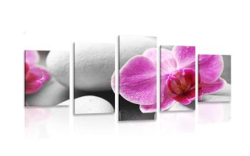 5-częściowy obraz kwiaty orchidei na białych kamieniach - 100x50