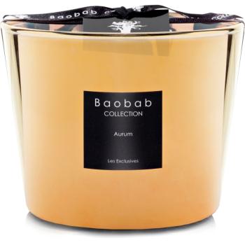 Baobab Les Exclusives Aurum świeczka zapachowa 10 cm