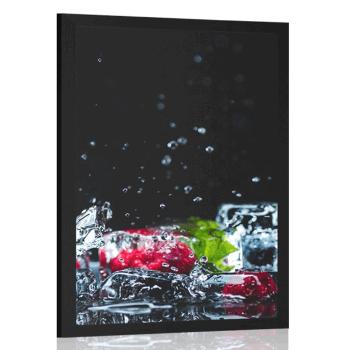 Plakat owocowe lodowe kostki - 30x45 white
