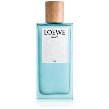 Loewe Agua Él woda toaletowa dla mężczyzn 100 ml