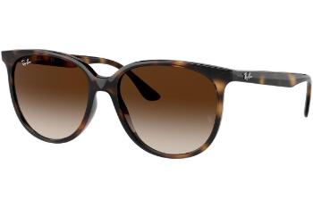 Ray-Ban RB4378 710/13 ONE SIZE (54)