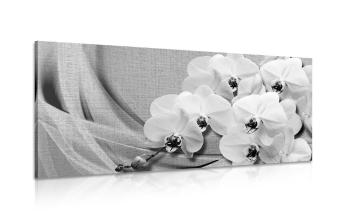 Obraz orchidea na płótnie w wersji czarno-białej - 120x60