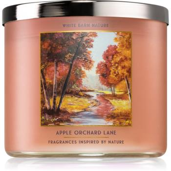 Bath & Body Works Apple Orchard Lane świeczka zapachowa 411 g