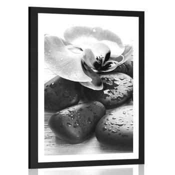Plakat z passe-partout piękna gra kamieni i orchidei w czerni i bieli - 40x60 silver