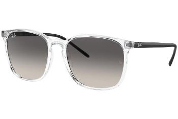 Ray-Ban RB4387 647711 ONE SIZE (56)