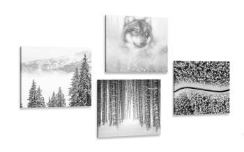 Zestaw obrazów wilk w tajemniczym lesie w wersji czarno-białej - 4x 60x60