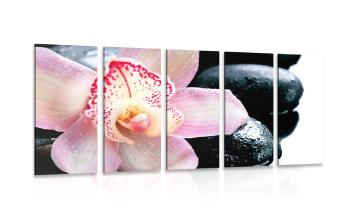 5-częściowy obraz egzotyczna orchidea - 100x50