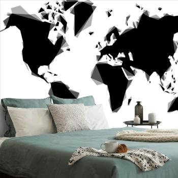 Tapeta abstrakcyjna mapa świata w czarno-białym kolorze - 450x300