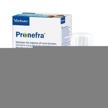 VIRBAC Pronefra Preparat na nerki doustny dla psów i kotów 180 ml