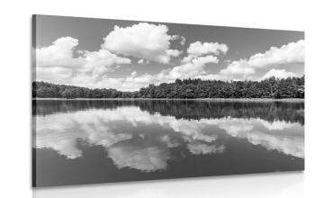 Obraz natura w lecie w wersji czarno-białej