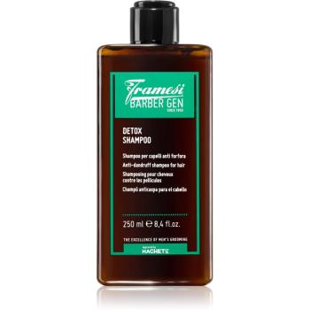 Framesi Barber Gen Detox oczyszczająco detoksujący szampon przeciw łupieżowi 250 ml