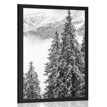 Plakat ośnieżone sosny w czerni i bieli - 40x60 white