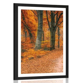 Plakat z passe-partout las w sezonie jesiennym - 30x45 white