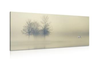 Obraz drzewa we mgle - 120x60