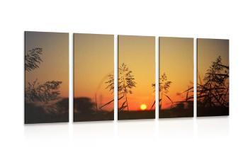 5-częściowy obraz źdźbła trawy o zachodzie słońca