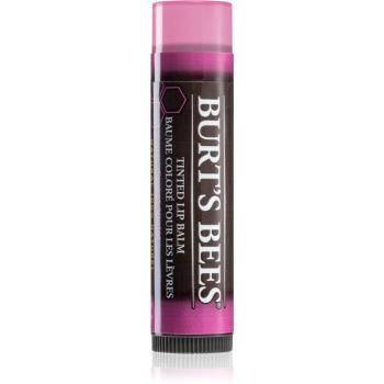 Burt’s Bees Tinted Lip Balm balsam do ust odcień Sweet Violet 4.25 g
