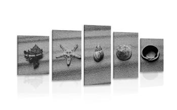 5-częściowy obraz muszle na piaszczystej plaży w wersji czarno-białej - 200x100