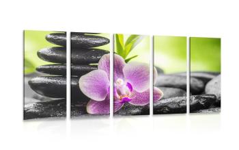 5-częściowy obraz tropikalna kompozycja Zen - 100x50