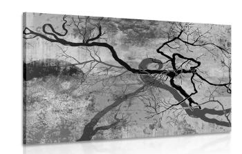 Obraz surrealistyczne drzewa w wersji czarno-białej - 60x40