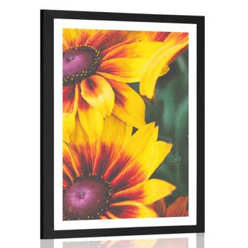Plakat z passe-partout atrrakcyjne dwukolorowe kwiaty - 30x45 black