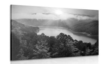 Obraz rzeka w środku lasu w wersji czarno-białej - 90x60