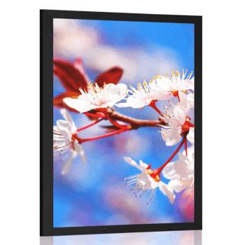 Plakat Kwiat czereśni - 60x90 black