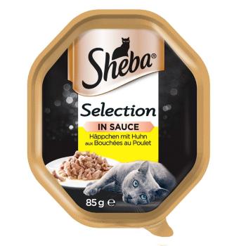 SHEBA Selection 22x85g z Kurczakiem - mokra karma dla kotów w sosie