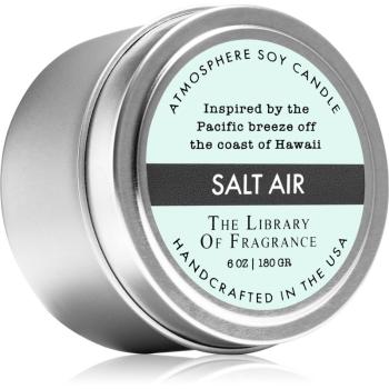 The Library of Fragrance Salt Air świeczka zapachowa 180 g