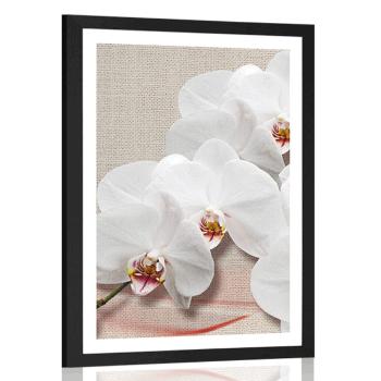 Plakat z passe-partout biała orchidea na płótnie - 60x90 white