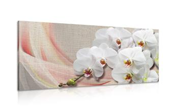 Obraz biała orchidea na płótnie - 120x60