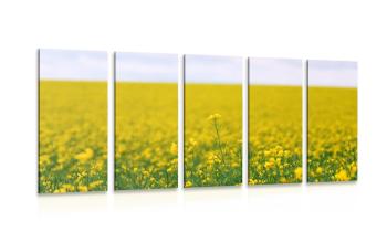 5-częściowy obraz żółte pole