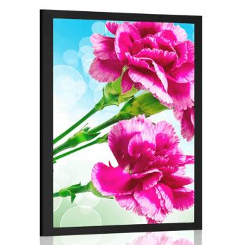 Plakat kwiat goździka - 30x45 silver