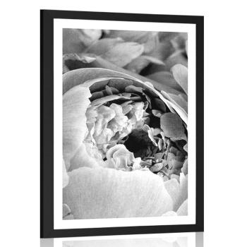 Plakat z passe-partout czarno-białe płatki kwiatów - 40x60 white