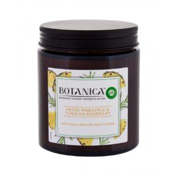 Air Wick Botanica Fresh Pineapple & Tunisian Rosemary 205 g świeczka zapachowa unisex