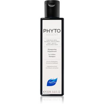 Phyto Phytargent No Yellow Shampoo szampon do włosów siwych 250 ml