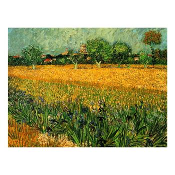 Reprodukcja obrazu Vincenta van Gogha – View of arles with irises in the foreground, 40x30 cm