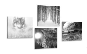 Zestaw obrazów tajemniczy wilk w wersji czarno-białej - 4x 40x40