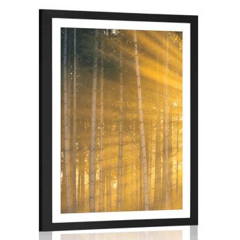 Plakat z passe-partout słońce za drzewami - 30x45 white