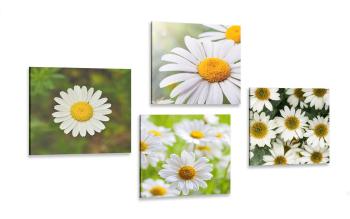 Zestaw obrazów czarujące kwiaty - 4x 60x60